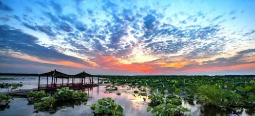 如何引爆夏日经济？夜游+赛事+研学成新引擎