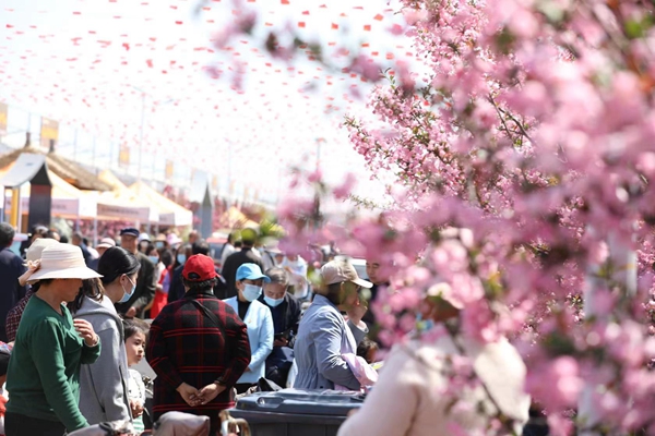 Chinese flowering crabapple boosts local tourism