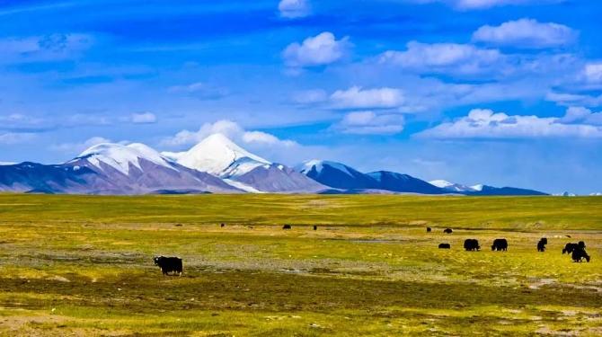 Mountain climbing trend invigorates rural economy in Qinghai