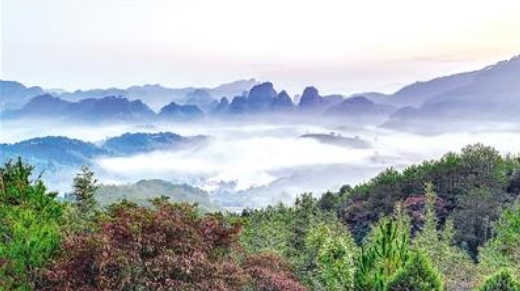 The ecological beauty of Wuyi Mountain National Park in late autumn is intoxicating