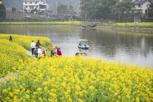 China’s homestay hosts add to short-term rental portfolios as business picks up