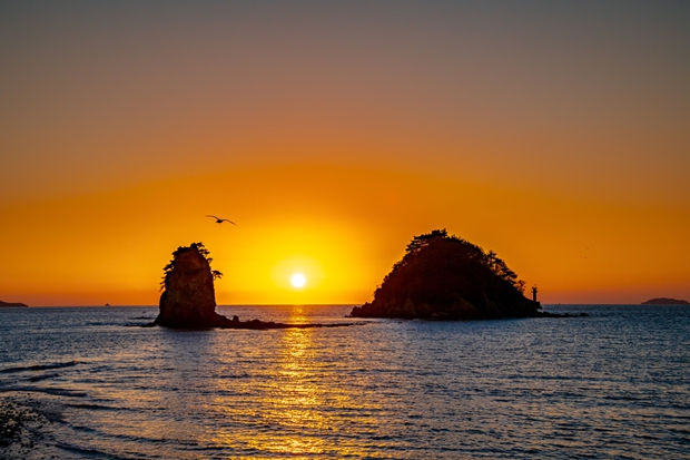 Polish Tourist Office Hosts Successful Appreciation Ceremony in Beijing