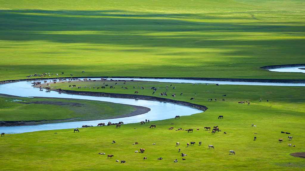 Discover the beauty and heritage of Hulun Buir Grassland