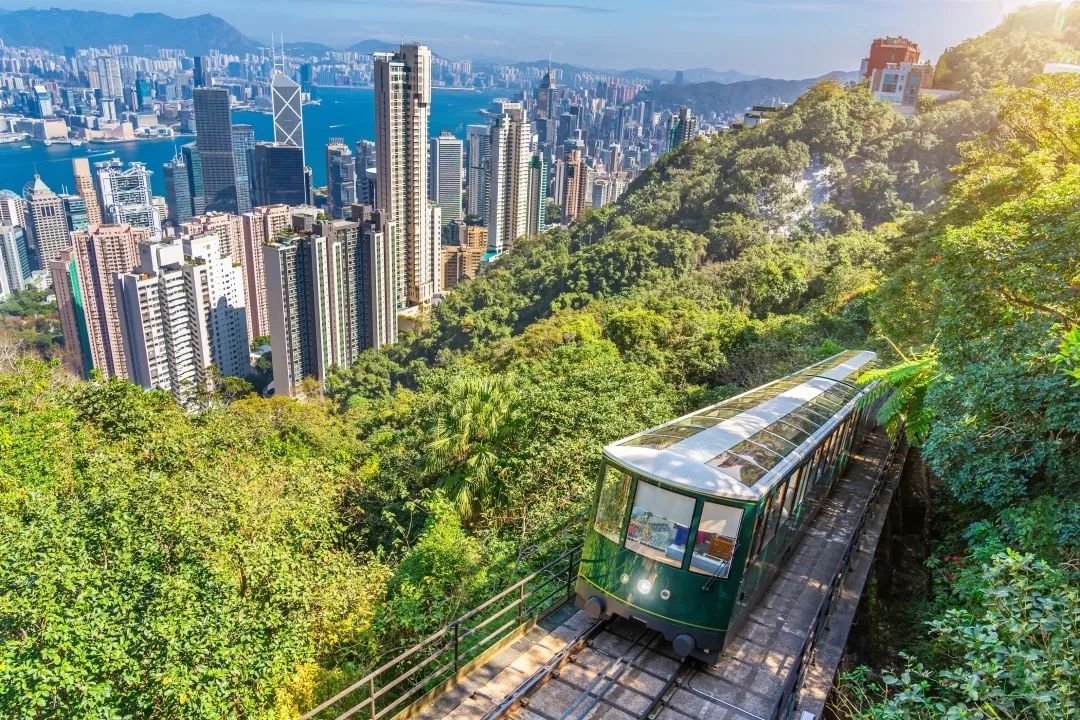 ​在香港最高点太平山顶，奥运健儿和顶峰最配！