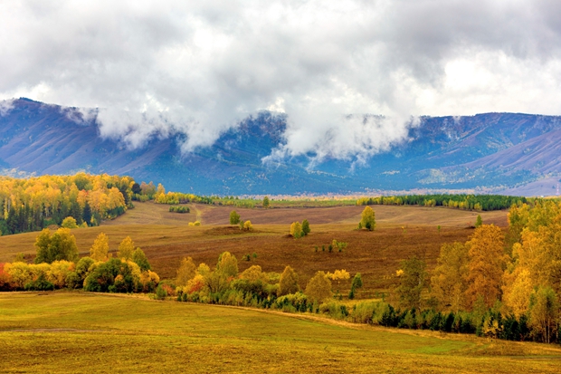 广东象头山2025年首届自然观察节落幕