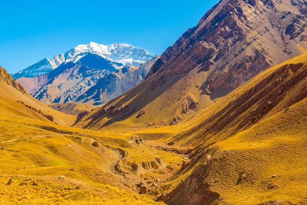 A Night at Sea — Shore to Shore: Inside the 2025 World Cruise Awards in Bahrain