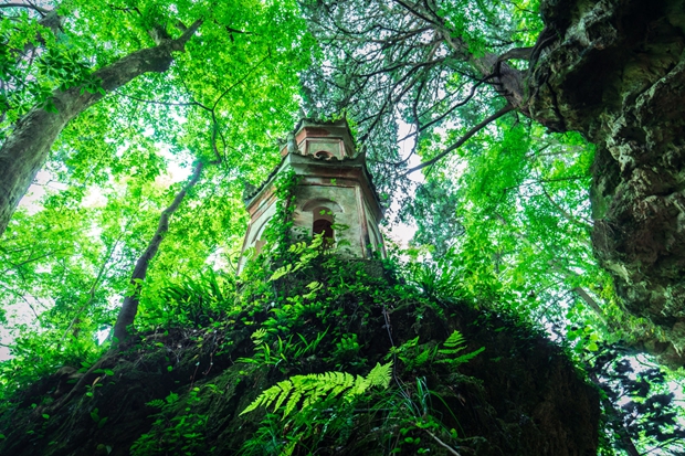 Chongqing Launches Five Premium Ba-Shu Cultural Tourism Routes to Boost Tourism Consumption