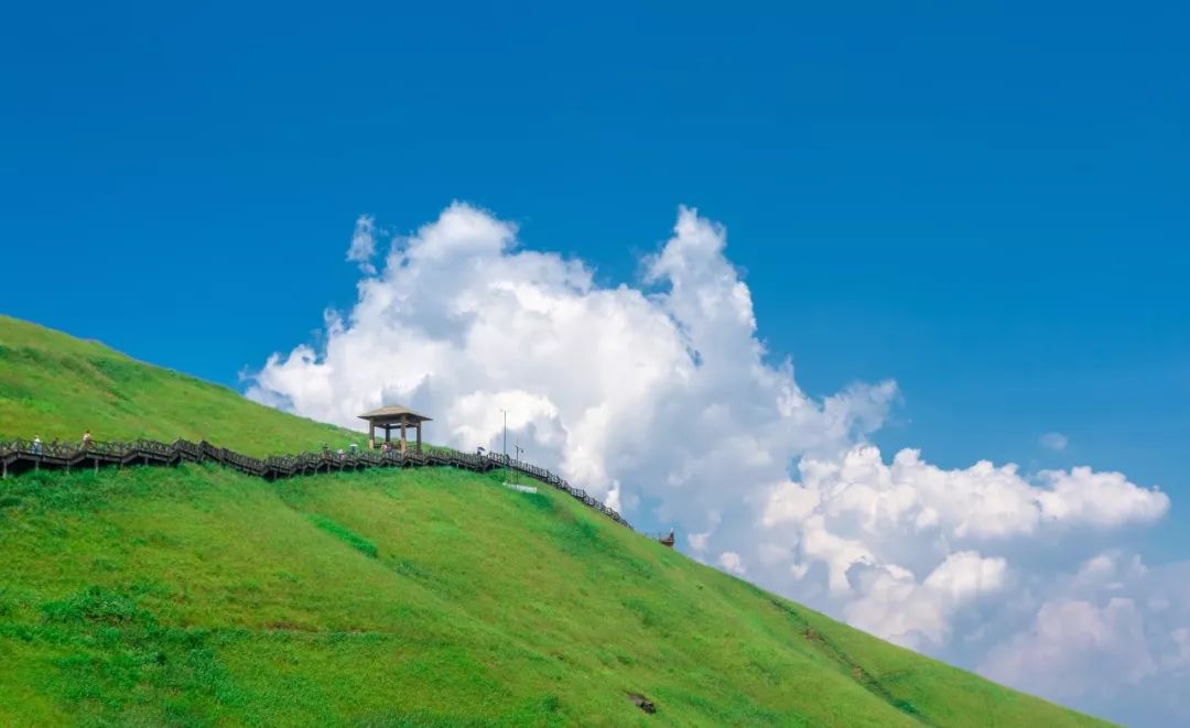 “避暑消夏好去处”多份名单揭晓