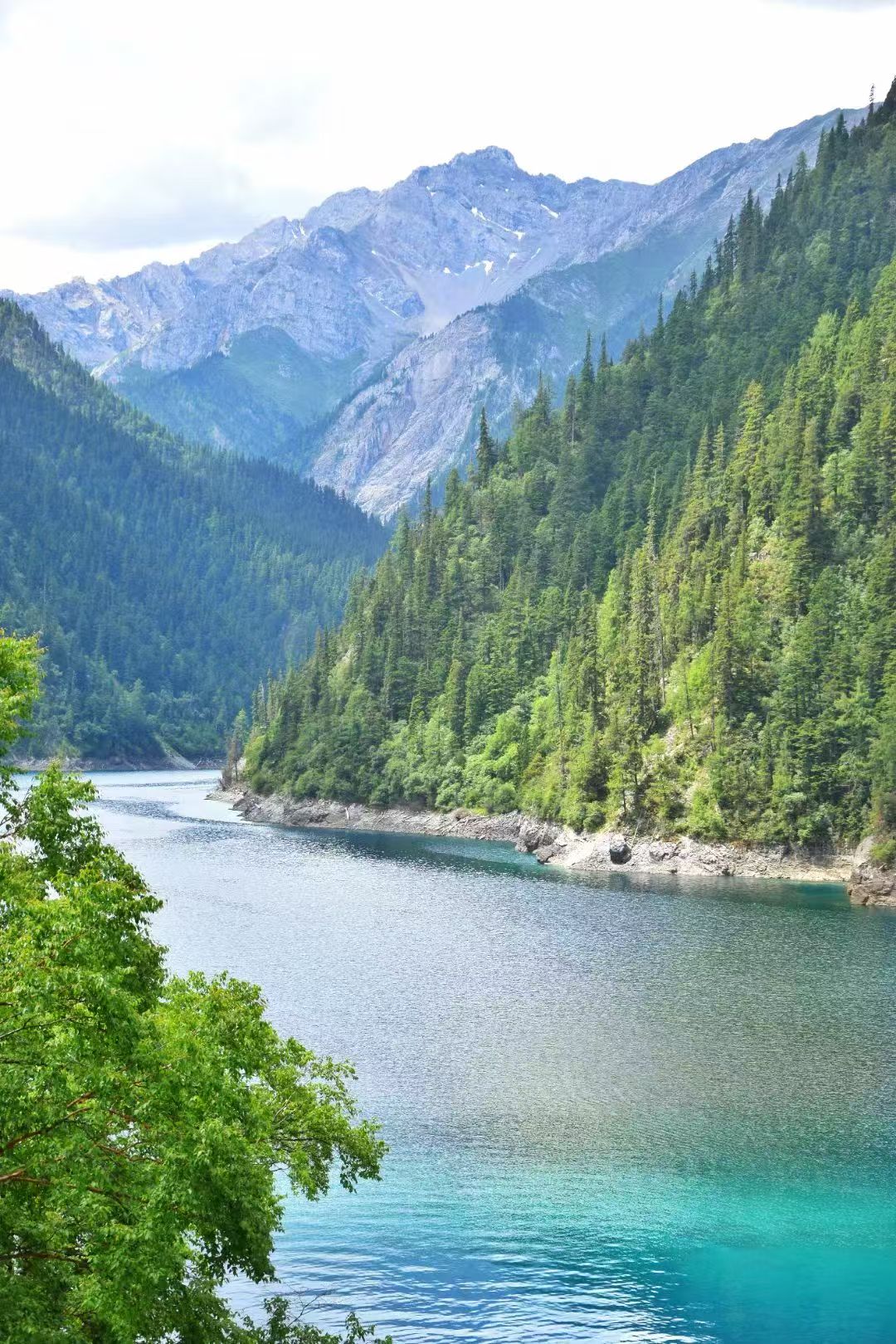 四川：九寨沟年度游客突破700万人次创下新高