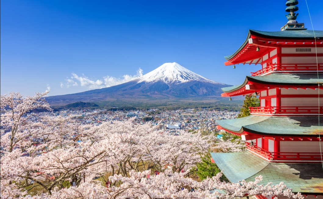 感知体育+观光旅游，体验日本地方城市的独特魅力