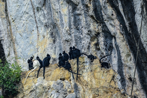 Border county in Guangxi turns ecological assets into tourism goldmine