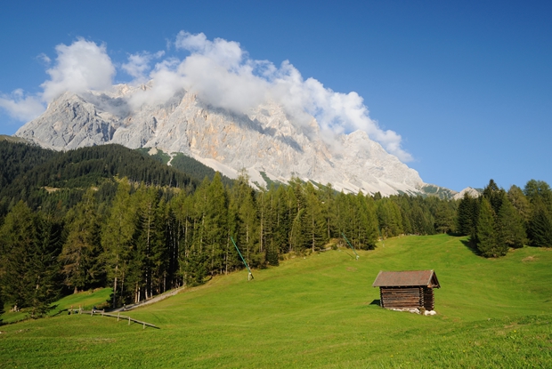 In 2025, San Francisco tourism is finally pointed in the right direction