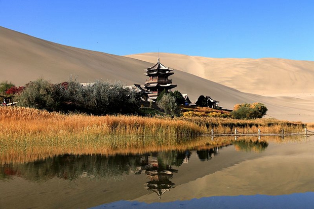 2023中国国际旅游交易会国际山地旅游联盟展位设计及搭建项目比选采购的公告