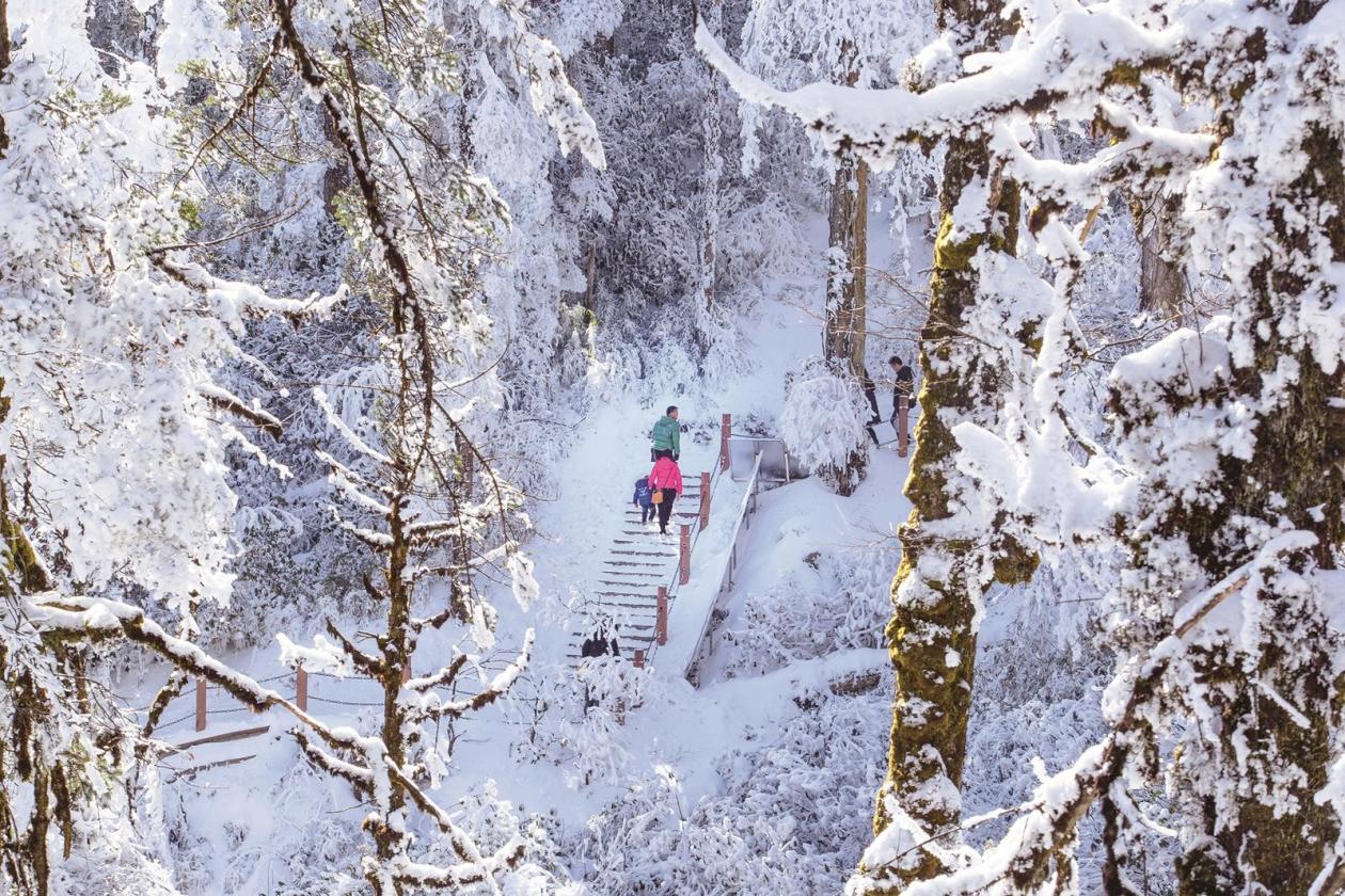 蜀山冰雪季开启 “南方小土豆”就近撒欢儿