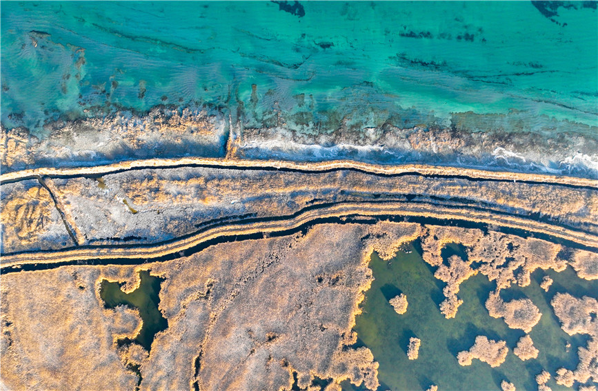 Gorgeous early winter views of Bostan Lake National Wetland Park in China