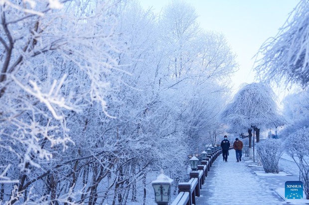 Charming rime scenery near Songhua River in NE China