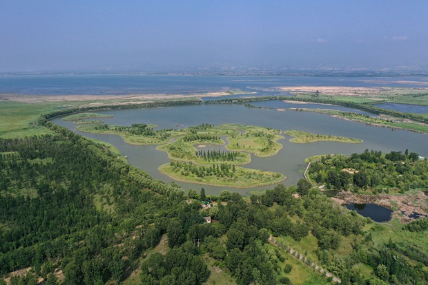 Beijing Wild Duck Lake Wetland: A haven for wild birds