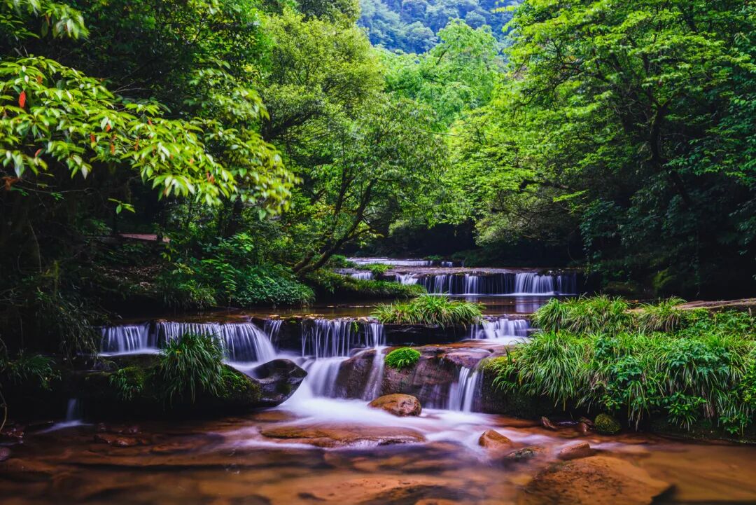 “天台转运·马上躺萤”元旦活动引瞩目，成都天台山景区亮相2025国际旅交会