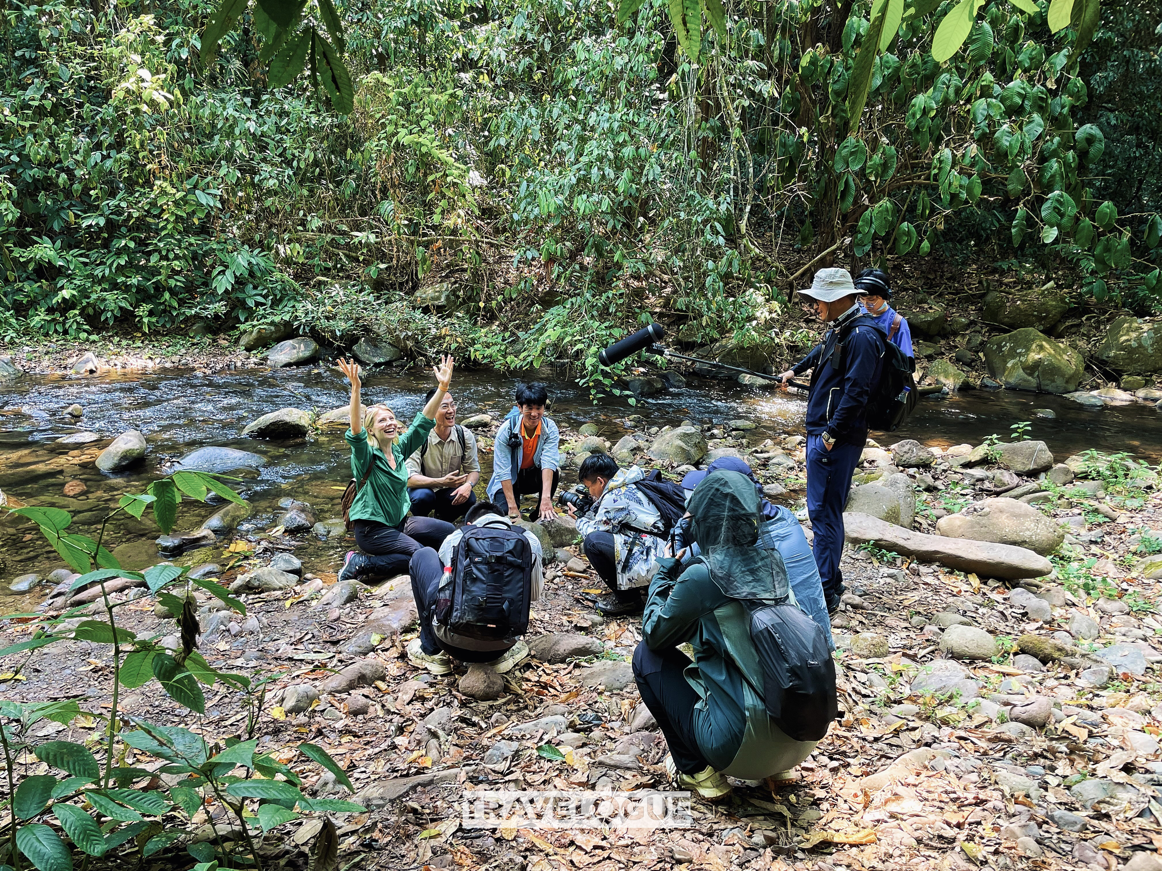 Unleash your inner explorer: Must-try rainforest hike