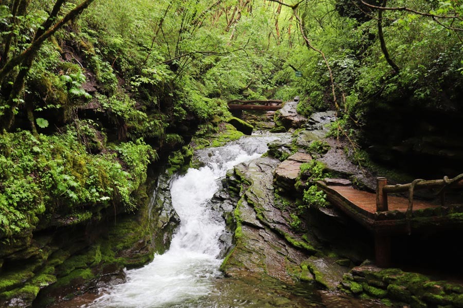 Silk Road culture glorifies Northwest mountain