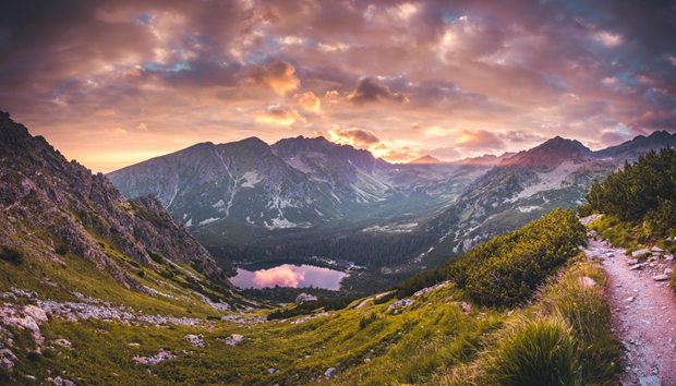 Saudi Arabia Establishes “Saudi Town” in Shanghai, Targeting 2026 Spring Festival Market