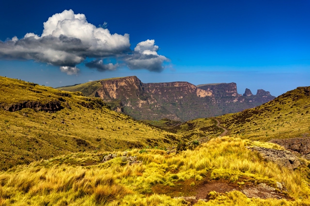 Europe’s tourism shows resilience amid higher costs and shifting travel trends