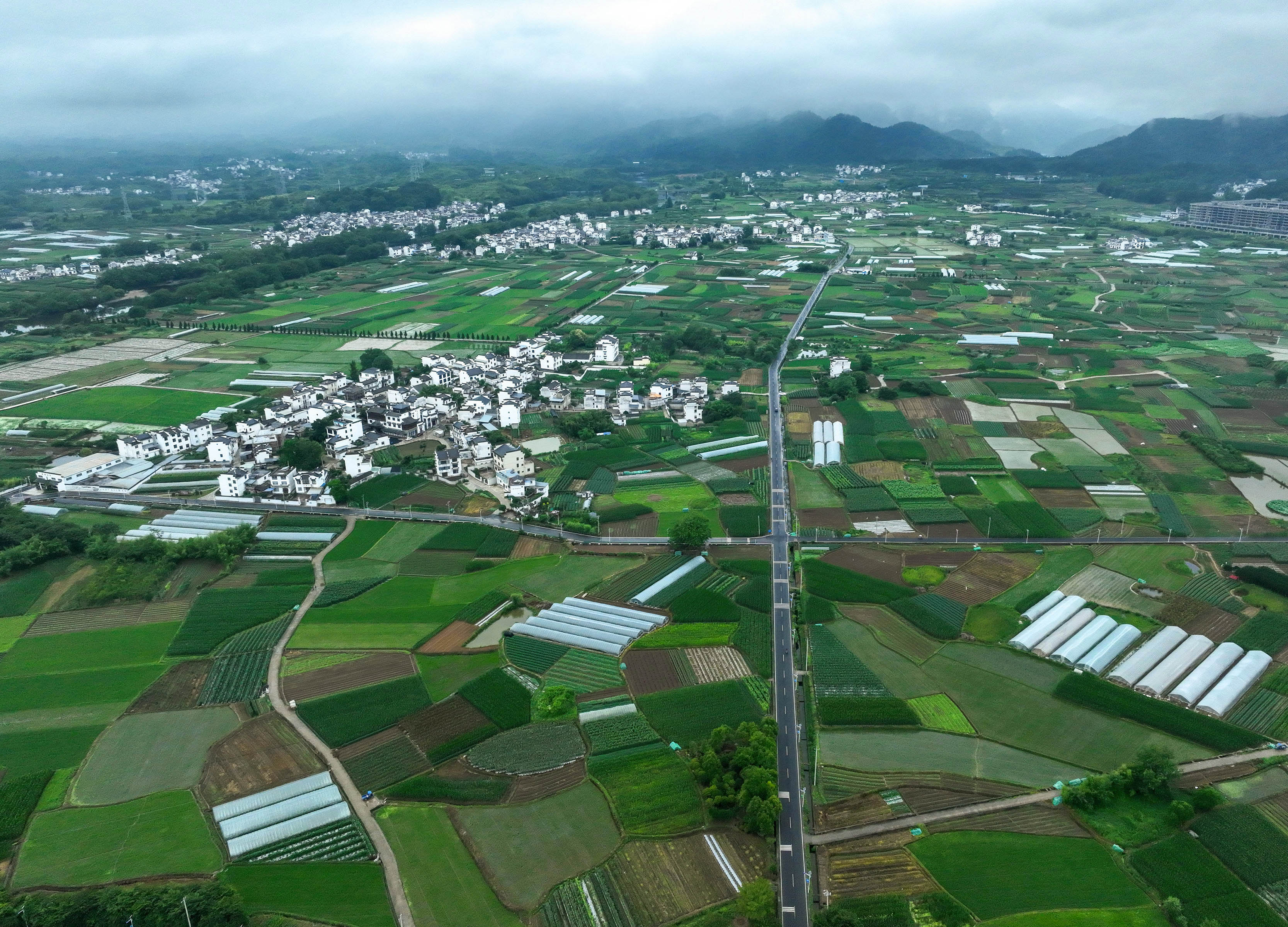 After-rain scenery of Xixi