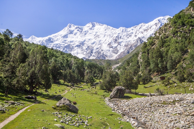 Ice-and-snow tourism scenic area opens in NE China