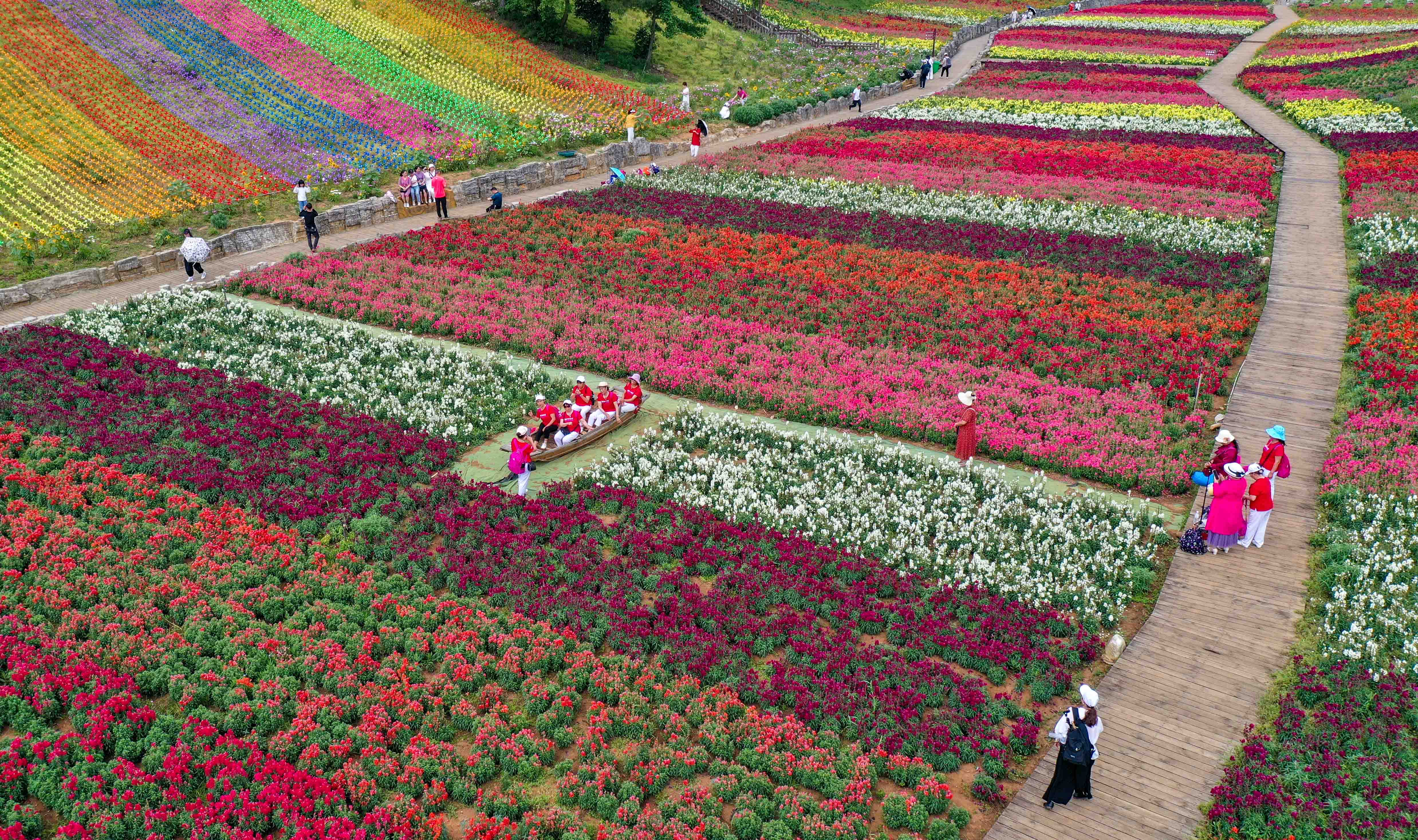 Blooming paradise in China