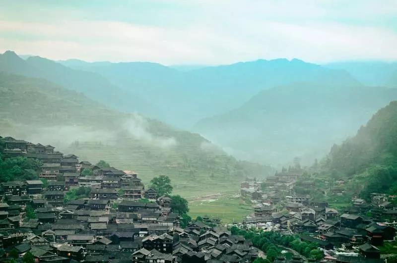 地球生物多样性急剧下降 旅游业尽责发展成就巨大贡献