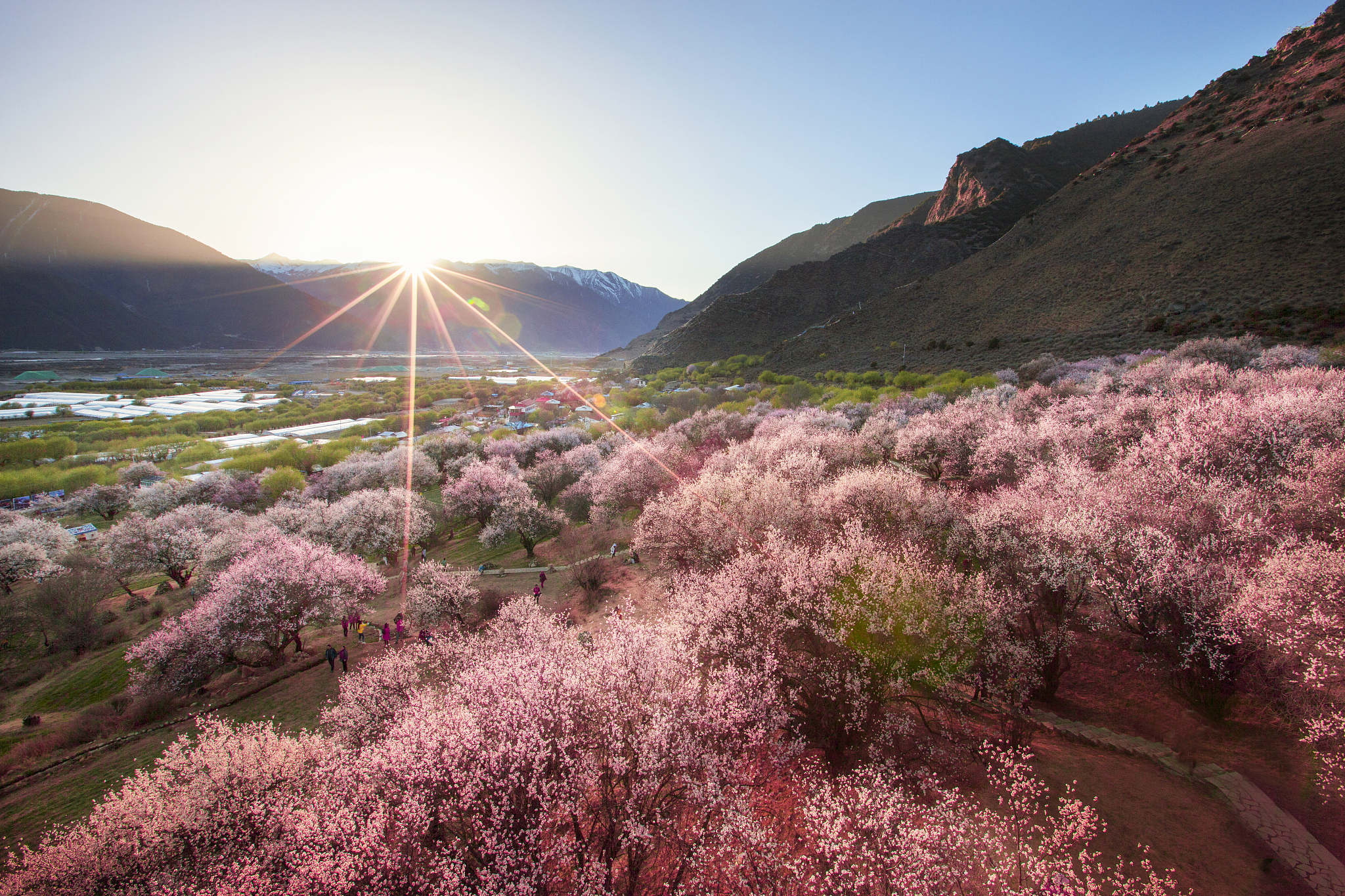 Various places decked with spring flowers ahead of holiday in China