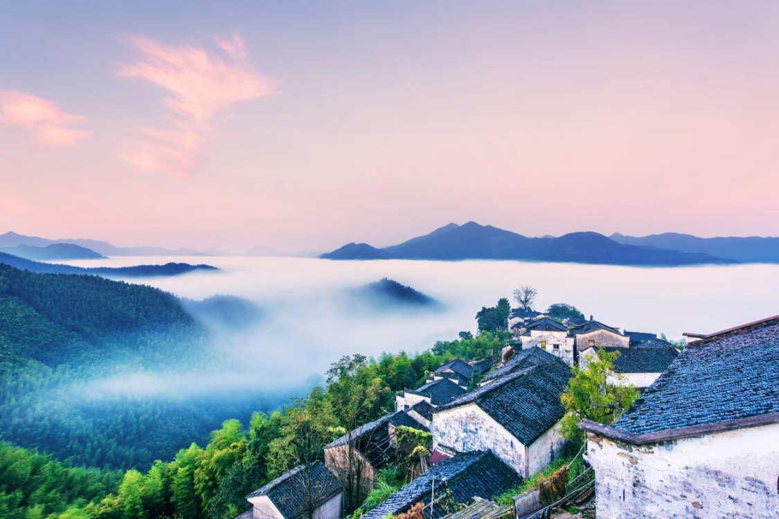 黄山旅游：茶旅产业融合，打造新兴旅游模式