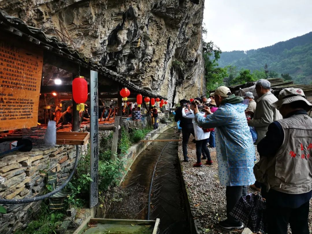 傅迎春：连接山地精彩 共享美丽生存一一在“第二届地球村摄影艺术节”开幕式上的致辞