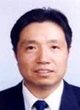 Wang Chong 王 冲 