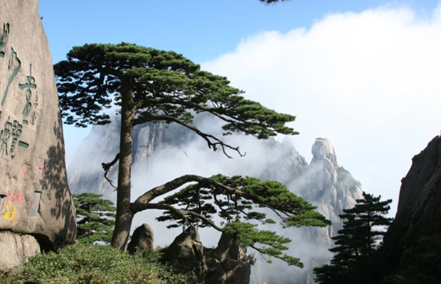 我与山地旅游 | 黄山——清凉秀美的山景秘境