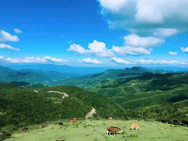 尼泊尔旅游局启动可持续旅游促进生计恢复项目