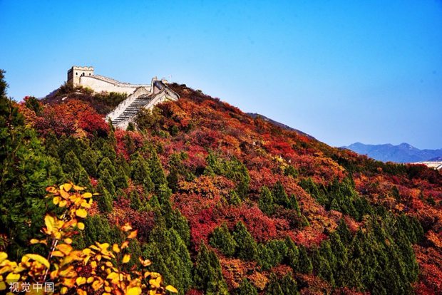 Best destinations for touring the red leaves in Beijing