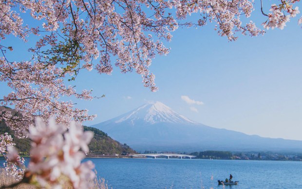 Japan to ease entry restrictions for vaccinated travelers