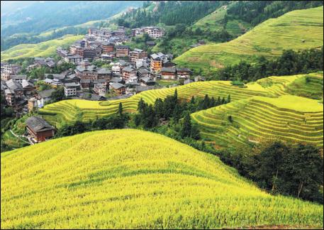 Terraced fields offer more than grains of hope