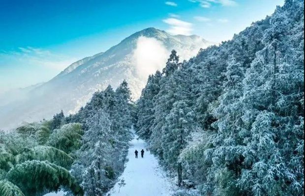 去哪儿：滑雪场成为度假目的地，四成以上游客住宿时间超2晚