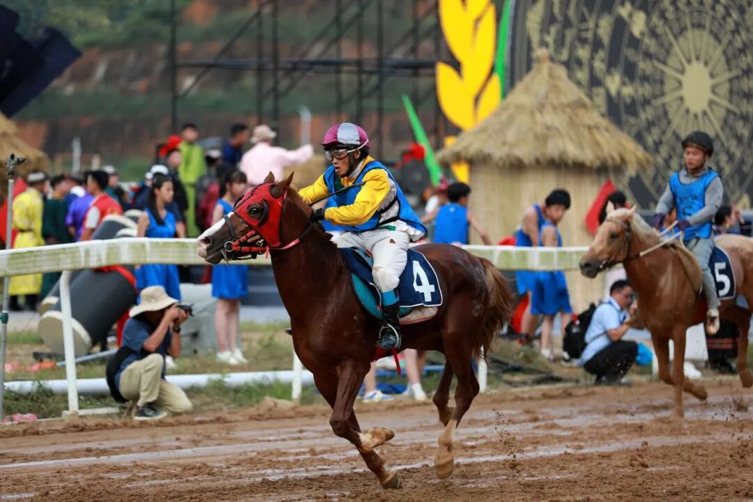“村字号”又一员大将，“村马”别错过