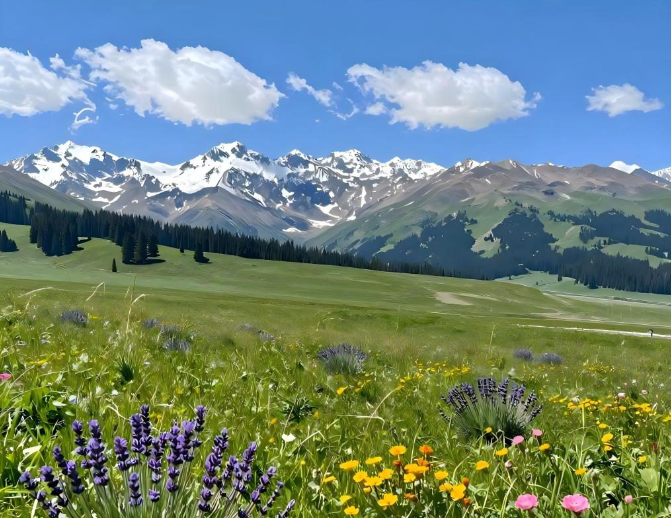 大众旅游消费呈现品质化趋势 新疆旅游尤为亮眼