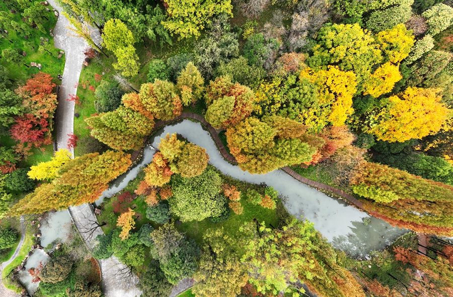 Picturesque early winter scenery of Slender West Lake in China’s Jiangsu