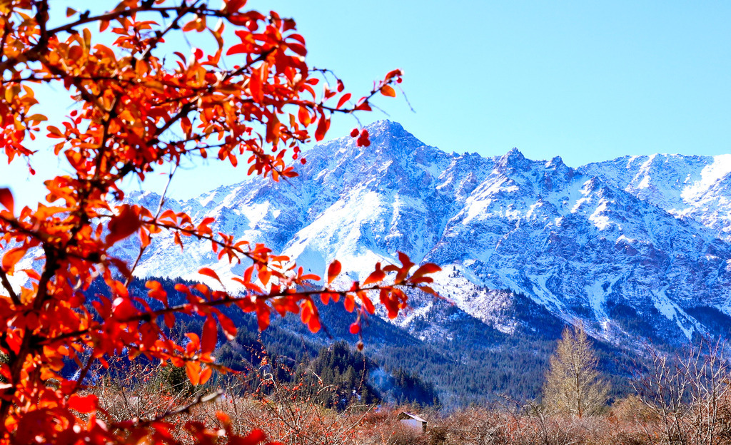 【玩转山地】雪后初晴 祁连山公园雪山青山界限分明