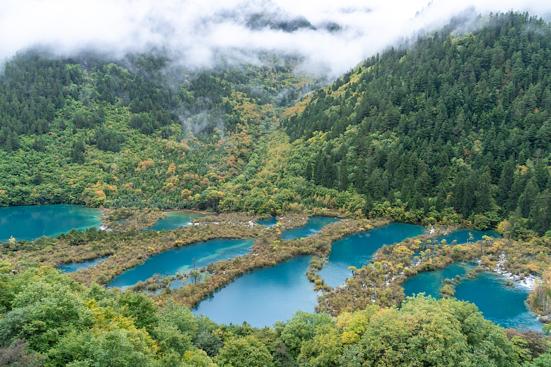 Discover a wonderland in the Jiuzhai Valley