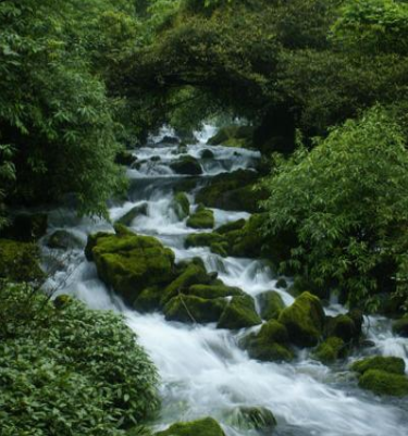 “山地公园省·多彩贵州风”旅游推介活动举行