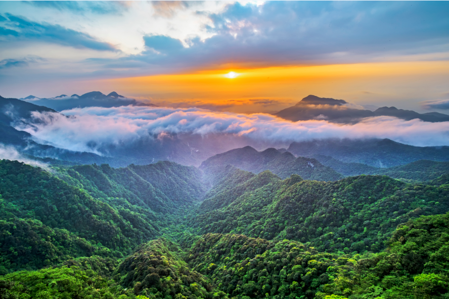 2021“国际山地旅游日”邀请大家免费共游金佛山